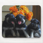 German Shepherd Puppies Mouse Pads