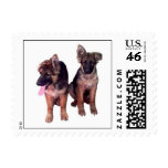 German Shepherd puppies Postage German Shepherd puppies Postage