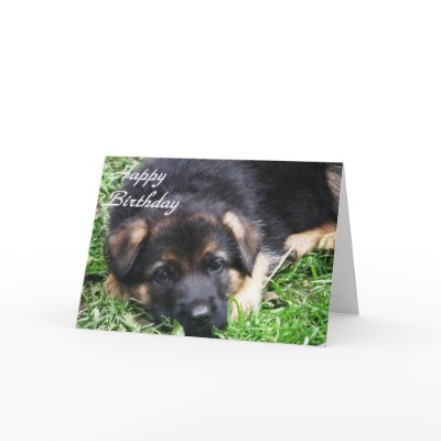 german_shepherd_puppy_birthday_card-p137827175844189176qqld_400.jpg