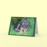 German Shepherd puppy Birthday card