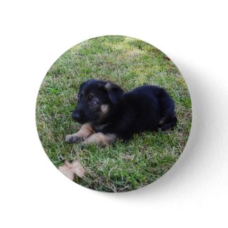 German Shepherd Puppy Button button