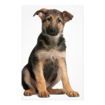 German Shepherd Puppy Custom Stationery