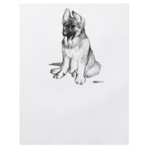 German Shepherd Puppy flyers