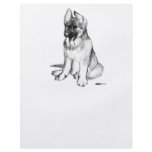 German Shepherd Puppy flyers