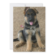 German Shepherd Puppy Invitation