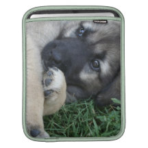 German Shepherd Puppy  iPad Sleeve