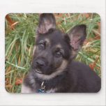 German Shepherd Puppy Mouse Pad