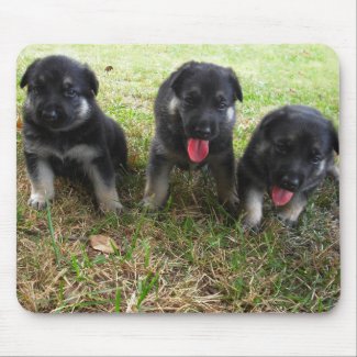 German Shepherd Puppy Mousepad mousepad