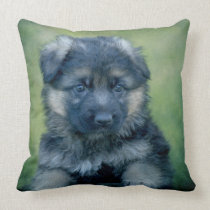 German Shepherd Puppy Pillow pillows
