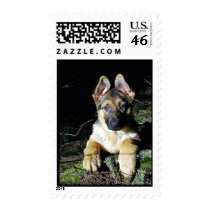 German-Shepherd Puppy Postage Stamp