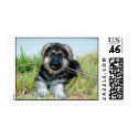 German Shepherd Puppy Postage Stamp by thehatch German Shepherd Puppy Postage Stamp