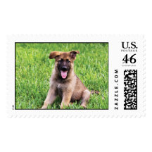 German Shepherd Puppy Postage Stamp