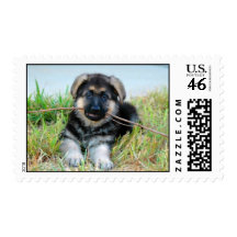 German Shepherd Puppy Postage Stamp
