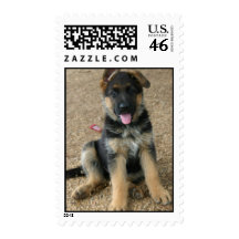 German Shepherd Puppy Postal Stamp