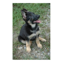 German Shepherd Puppy Poster posters by handandpaw German Shepherd Puppy Poster posters