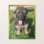 German Shepherd Puppy Puzzle puzzles