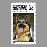 German Shepherd Stamp stamps