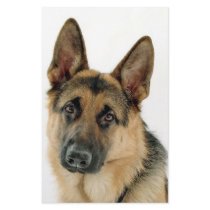 German Shepherd stationery by YourStore German Shepherd stationery