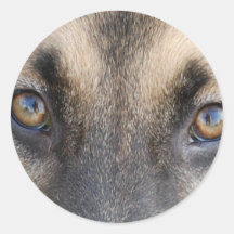 German Shepherd Sticker