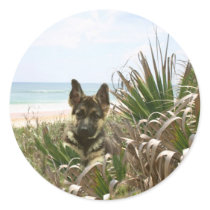 German Shepherd Sticker Beachgrass