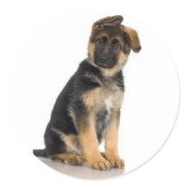 German Shepherd Stickers by jasminesphotography German Shepherd Stickers
