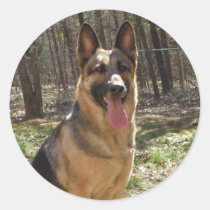 German Shepherd Stickers stickers