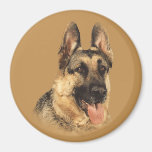 German Shepherd Very Handsome Magnet