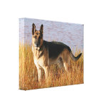 German Shepherd Wrapped Canvas Print