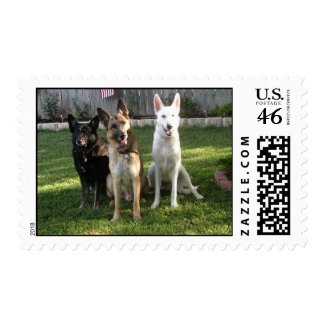 German Shepherd's..all 3 colors stamp