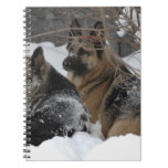 German Shepherds Best Friends Note Books