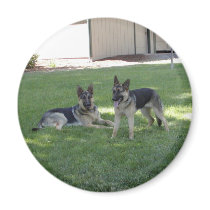 German Shepherds magnets by miralee German Shepherds magnets