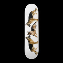 German Shepherds Skateboard