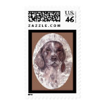German Short-haired Pointer Postage