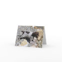 German Short Haired Pointer Puppy cards