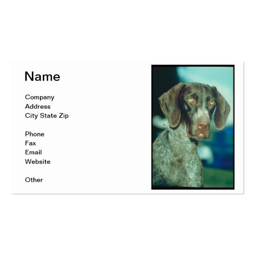 German Shorthair Pointer Business Card (front side)