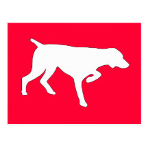 GERMAN SHORTHAIR POINTER POSTCARDS