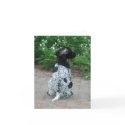 German Shorthair Pointer Puppy cards