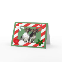 German Shorthaired Christmas Card