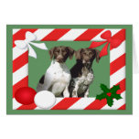 German Shorthaired Christmas Card
