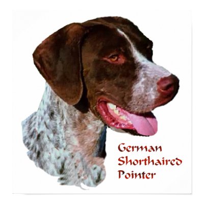 German Shorthaired Pointer Art Print by DogsByDezign