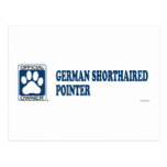 German Shorthaired Pointer Blue Post Cards
