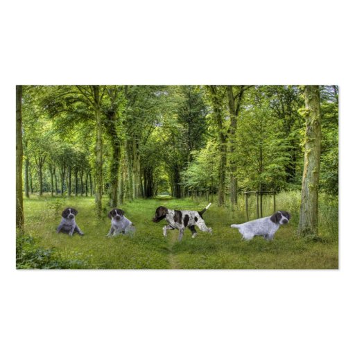 German Shorthaired Pointer Breeder Business Card (front side)