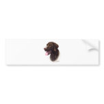 German Shorthaired Pointer Bumper Stickers