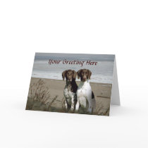 German Shorthaired Pointer Greting Card