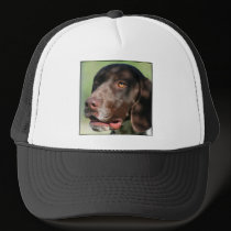 German Shorthaired Pointer hats