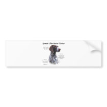 German Shorthaired Pointer History Design bumper stickers