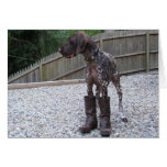 German Shorthaired Pointer in Boots Greeting Cards