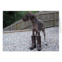 German Shorthaired Pointer in Boots cards