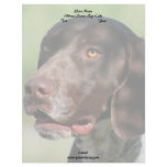 German Shorthaired Pointer Letterhead