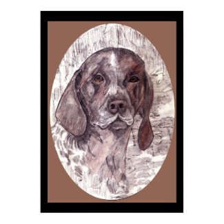 German Shorthaired Pointer Poster print